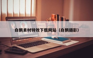 图木舒克白鹅素材特效下载网站（白鹅摄影）